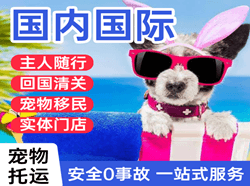 永兴航空运输国际宠物托运 【国